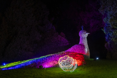 00059_Christmas-Garden-Insel-Mainau_Mario-Stecher-Bregenz-Fluh-7_28.-Dezember-2024@Fototeam-Digital-2024 00059_Christmas-Garden-Insel-Mainau_Mario-Stecher-Bregenz-Fluh-7_28.-Dezember-2024@Fototeam-Digital-2024