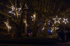 00068_Christmas-Garden-Insel-Mainau_Mario-Stecher-Bregenz-Fluh-7_28.-Dezember-2024@Fototeam-Digital-2024 00068_Christmas-Garden-Insel-Mainau_Mario-Stecher-Bregenz-Fluh-7_28.-Dezember-2024@Fototeam-Digital-2024