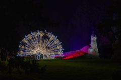 00071_Christmas-Garden-Insel-Mainau_Mario-Stecher-Bregenz-Fluh-7_28.-Dezember-2024@Fototeam-Digital-2024