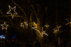 00086_Christmas-Garden-Insel-Mainau_Mario-Stecher-Bregenz-Fluh-7_28.-Dezember-2024@Fototeam-Digital-2024
