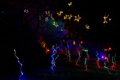 00091_Christmas-Garden-Insel-Mainau_Mario-Stecher-Bregenz-Fluh-7_28.-Dezember-2024@Fototeam-Digital-2024