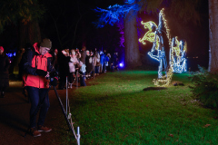00107_Christmas-Garden-Insel-Mainau_Mario-Stecher-Bregenz-Fluh-7_28.-Dezember-2024@Fototeam-Digital-2024