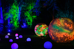 00123_Christmas-Garden-Insel-Mainau_Mario-Stecher-Bregenz-Fluh-7_28.-Dezember-2024@Fototeam-Digital-2024 00123_Christmas-Garden-Insel-Mainau_Mario-Stecher-Bregenz-Fluh-7_28.-Dezember-2024@Fototeam-Digital-2024
