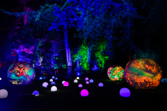 00127_Christmas-Garden-Insel-Mainau_Mario-Stecher-Bregenz-Fluh-7_28.-Dezember-2024@Fototeam-Digital-2024 00127_Christmas-Garden-Insel-Mainau_Mario-Stecher-Bregenz-Fluh-7_28.-Dezember-2024@Fototeam-Digital-2024