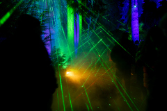 00255_Christmas-Garden-Insel-Mainau_Mario-Stecher-Bregenz-Fluh-7_28.-Dezember-2024@Fototeam-Digital-2024