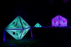 00300_Christmas-Garden-Insel-Mainau_Mario-Stecher-Bregenz-Fluh-7_28.-Dezember-2024@Fototeam-Digital-2024 00300_Christmas-Garden-Insel-Mainau_Mario-Stecher-Bregenz-Fluh-7_28.-Dezember-2024@Fototeam-Digital-2024