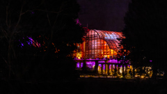 00305_Christmas-Garden-Insel-Mainau_Mario-Stecher-Bregenz-Fluh-7_28.-Dezember-2024@Fototeam-Digital-2024