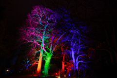 00328_Christmas-Garden-Insel-Mainau_Mario-Stecher-Bregenz-Fluh-7_28.-Dezember-2024@Fototeam-Digital-2024