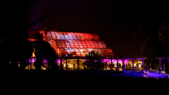 00337_Christmas-Garden-Insel-Mainau_Mario-Stecher-Bregenz-Fluh-7_28.-Dezember-2024@Fototeam-Digital-2024