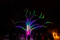 00357_Christmas-Garden-Insel-Mainau_Mario-Stecher-Bregenz-Fluh-7_28.-Dezember-2024@Fototeam-Digital-2024