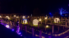 00385_Christmas-Garden-Insel-Mainau_Mario-Stecher-Bregenz-Fluh-7_28.-Dezember-2024@Fototeam-Digital-2024 00385_Christmas-Garden-Insel-Mainau_Mario-Stecher-Bregenz-Fluh-7_28.-Dezember-2024@Fototeam-Digital-2024