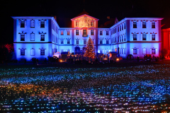 00412_Christmas-Garden-Insel-Mainau_Mario-Stecher-Bregenz-Fluh-7_28.-Dezember-2024@Fototeam-Digital-2024