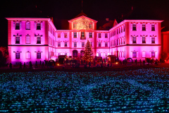 00436_Christmas-Garden-Insel-Mainau_Mario-Stecher-Bregenz-Fluh-7_28.-Dezember-2024@Fototeam-Digital-2024