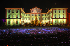 00442_Christmas-Garden-Insel-Mainau_Mario-Stecher-Bregenz-Fluh-7_28.-Dezember-2024@Fototeam-Digital-2024