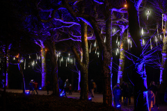 00460_Christmas-Garden-Insel-Mainau_Mario-Stecher-Bregenz-Fluh-7_28.-Dezember-2024@Fototeam-Digital-2024