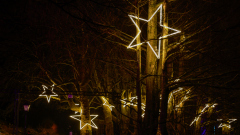 00476_Christmas-Garden-Insel-Mainau_Mario-Stecher-Bregenz-Fluh-7_28.-Dezember-2024@Fototeam-Digital-2024