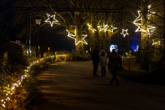 00479_Christmas-Garden-Insel-Mainau_Mario-Stecher-Bregenz-Fluh-7_28.-Dezember-2024@Fototeam-Digital-2024 00479_Christmas-Garden-Insel-Mainau_Mario-Stecher-Bregenz-Fluh-7_28.-Dezember-2024@Fototeam-Digital-2024