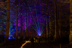 00495_Christmas-Garden-Insel-Mainau_Mario-Stecher-Bregenz-Fluh-7_28.-Dezember-2024@Fototeam-Digital-2024