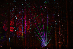 00514_Christmas-Garden-Insel-Mainau_Mario-Stecher-Bregenz-Fluh-7_28.-Dezember-2024@Fototeam-Digital-2024 00514_Christmas-Garden-Insel-Mainau_Mario-Stecher-Bregenz-Fluh-7_28.-Dezember-2024@Fototeam-Digital-2024
