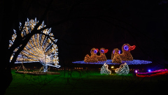 00518_Christmas-Garden-Insel-Mainau_Mario-Stecher-Bregenz-Fluh-7_28.-Dezember-2024@Fototeam-Digital-2024