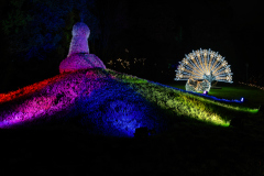 00602_Christmas-Garden-Insel-Mainau_Gerhard-Scheucher_28.-Dezember-2024@Fototeam-Digital-2024