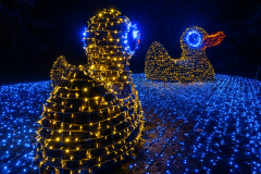 00603_Christmas-Garden-Insel-Mainau_Gerhard-Scheucher_28.-Dezember-2024@Fototeam-Digital-2024