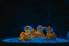 00605_Christmas-Garden-Insel-Mainau_Gerhard-Scheucher_28.-Dezember-2024@Fototeam-Digital-2024