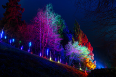 00607_Christmas-Garden-Insel-Mainau_Gerhard-Scheucher_28.-Dezember-2024@Fototeam-Digital-2024