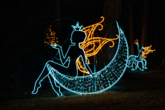 00613_Christmas-Garden-Insel-Mainau_Gerhard-Scheucher_28.-Dezember-2024@Fototeam-Digital-2024