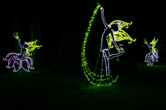00614_Christmas-Garden-Insel-Mainau_Gerhard-Scheucher_28.-Dezember-2024@Fototeam-Digital-2024