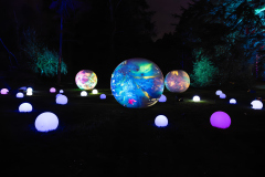00620_Christmas-Garden-Insel-Mainau_Gerhard-Scheucher_28.-Dezember-2024@Fototeam-Digital-2024