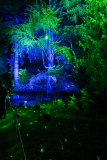 00622_Christmas-Garden-Insel-Mainau_Gerhard-Scheucher_28.-Dezember-2024@Fototeam-Digital-2024
