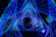 00625_Christmas-Garden-Insel-Mainau_Gerhard-Scheucher_28.-Dezember-2024@Fototeam-Digital-2024