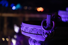 00630_Christmas-Garden-Insel-Mainau_Gerhard-Scheucher_28.-Dezember-2024@Fototeam-Digital-2024