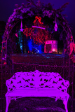 00631_Christmas-Garden-Insel-Mainau_Gerhard-Scheucher_28.-Dezember-2024@Fototeam-Digital-2024