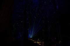 00636_Christmas-Garden-Insel-Mainau_Gerhard-Scheucher_28.-Dezember-2024@Fototeam-Digital-2024