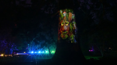 00700_Christmas-Garden-Insel-Mainau_Kurt-Lachner_28.-Dezember-2024@Fototeam-Digital-2024