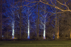 00705_Christmas-Garden-Insel-Mainau_Kurt-Lachner_28.-Dezember-2024@Fototeam-Digital-2024