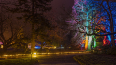 00709_Christmas-Garden-Insel-Mainau_Kurt-Lachner_28.-Dezember-2024@Fototeam-Digital-2024