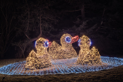 00711_Christmas-Garden-Insel-Mainau_Kurt-Lachner_28.-Dezember-2024@Fototeam-Digital-2024