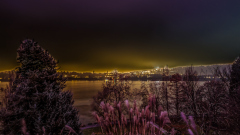 00712_Christmas-Garden-Insel-Mainau_Kurt-Lachner_28.-Dezember-2024@Fototeam-Digital-2024 00712_Christmas-Garden-Insel-Mainau_Kurt-Lachner_28.-Dezember-2024@Fototeam-Digital-2024
