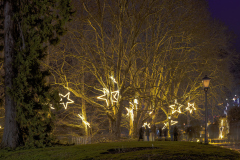 00713_Christmas-Garden-Insel-Mainau_Kurt-Lachner_28.-Dezember-2024@Fototeam-Digital-2024