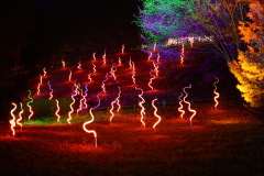 00714_Christmas-Garden-Insel-Mainau_Kurt-Lachner_28.-Dezember-2024@Fototeam-Digital-2024 00714_Christmas-Garden-Insel-Mainau_Kurt-Lachner_28.-Dezember-2024@Fototeam-Digital-2024
