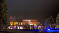 00716_Christmas-Garden-Insel-Mainau_Kurt-Lachner_28.-Dezember-2024@Fototeam-Digital-2024