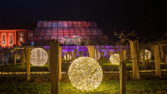 00719_Christmas-Garden-Insel-Mainau_Kurt-Lachner_28.-Dezember-2024@Fototeam-Digital-2024