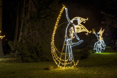 00721_Christmas-Garden-Insel-Mainau_Kurt-Lachner_28.-Dezember-2024@Fototeam-Digital-2024