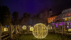 00723_Christmas-Garden-Insel-Mainau_Kurt-Lachner_28.-Dezember-2024@Fototeam-Digital-2024