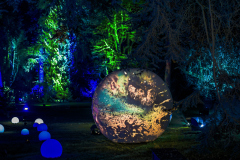 00726_Christmas-Garden-Insel-Mainau_Kurt-Lachner_28.-Dezember-2024@Fototeam-Digital-2024