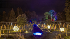 00727_Christmas-Garden-Insel-Mainau_Kurt-Lachner_28.-Dezember-2024@Fototeam-Digital-2024 00727_Christmas-Garden-Insel-Mainau_Kurt-Lachner_28.-Dezember-2024@Fototeam-Digital-2024