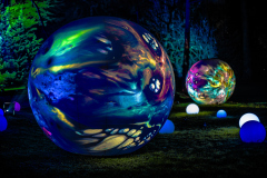 00728_Christmas-Garden-Insel-Mainau_Kurt-Lachner_28.-Dezember-2024@Fototeam-Digital-2024 00728_Christmas-Garden-Insel-Mainau_Kurt-Lachner_28.-Dezember-2024@Fototeam-Digital-2024